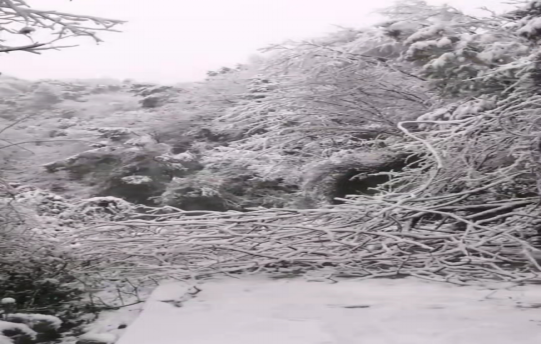 戰(zhàn)暴雪、保供電！湖南發(fā)展鳥兒巢公司應對極端天氣緊急搶修失電故障